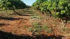 Foto 15 de Fazenda/Sítio à venda em Centro, Jaíba