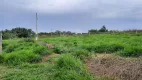 Foto 8 de Fazenda/Sítio com 4 Quartos à venda, 200m² em Area Rural de Uberlandia, Uberlândia