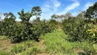 Foto 17 de Fazenda/Sítio com 2 Quartos à venda, 12m² em Zona Rural, Poconé