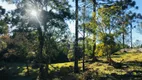 Foto 39 de Fazenda/Sítio à venda, 1m² em Linha Araripe, Gramado