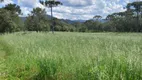 Foto 13 de Fazenda/Sítio com 3 Quartos à venda, 86m² em Estrada do Invernador, Urubici