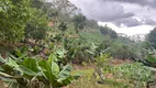 Foto 18 de Fazenda/Sítio com 3 Quartos à venda, 250000m² em , Marechal Floriano