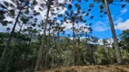 Foto 15 de Fazenda/Sítio à venda, 20000m² em Santa Tereza, Urubici