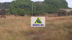 Foto 9 de Fazenda/Sítio à venda, 169400000m² em Zona Rural, Cocalinho