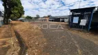 Foto 2 de Lote/Terreno para alugar, 989m² em Vila Jacobucci, São Carlos