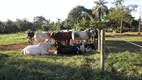 Foto 17 de Fazenda/Sítio à venda, 2800000m² em Rural, Abaeté
