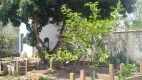 Foto 20 de Fazenda/Sítio com 3 Quartos à venda, 263m² em Angicos, Vespasiano