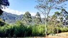 Foto 20 de Lote/Terreno à venda, 1240m² em , Itatiaia