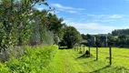 Foto 10 de Fazenda/Sítio com 3 Quartos à venda, 500m² em Rural, Cesário Lange