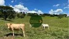 Foto 27 de Fazenda/Sítio à venda, 2662000m² em Zona Rural, Varjão