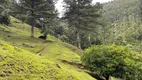 Foto 36 de Fazenda/Sítio com 7 Quartos à venda, 50000m² em Centro, Anitápolis