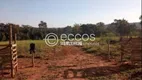 Foto 3 de Fazenda/Sítio com 3 Quartos à venda, 149m² em Zona Rural, Uberlândia