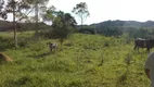 Foto 14 de Fazenda/Sítio com 3 Quartos à venda, 363000m² em Bairro Alto, Natividade da Serra