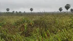 Foto 4 de Fazenda/Sítio com 3 Quartos à venda, 150000m² em Centro, Lagoa de Pedras