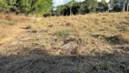 Foto 16 de Fazenda/Sítio com 3 Quartos à venda, 70000m² em Zona Rural, Conceição do Pará