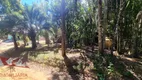 Foto 19 de Fazenda/Sítio com 2 Quartos à venda, 4000m² em Colônia Malhada, São José dos Pinhais