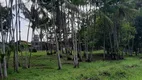 Foto 4 de Fazenda/Sítio com 3 Quartos à venda, 27000m² em , Barcarena