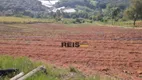 Foto 13 de Fazenda/Sítio com 4 Quartos à venda, 300m² em Godinhos, Piedade