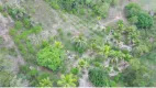 Foto 15 de Fazenda/Sítio com 3 Quartos à venda, 200m² em Centro, Salgado