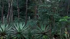 Foto 4 de Fazenda/Sítio com 4 Quartos à venda, 16000m² em , Conceição do Pará