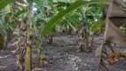 Foto 4 de Fazenda/Sítio com 3 Quartos à venda, 5000m² em Centro, Rio do Fogo