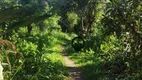 Foto 10 de Fazenda/Sítio à venda, 9000m² em Campo Grande, Rio de Janeiro