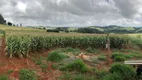 Foto 23 de Fazenda/Sítio com 3 Quartos à venda, 150m² em São Camilo, Muzambinho