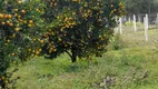 Foto 6 de Fazenda/Sítio com 3 Quartos à venda, 30000m² em Vilarejo Taboao, Agudos do Sul