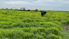 Foto 31 de Fazenda/Sítio à venda, 170000000m² em Setor Central, Santa Fé do Araguaia