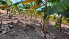 Foto 19 de Fazenda/Sítio com 2 Quartos à venda, 12m² em Zona Rural, Poconé