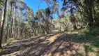 Foto 13 de Fazenda/Sítio à venda, 448000m² em Pedra Branca, Alfredo Wagner