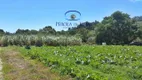 Foto 19 de Fazenda/Sítio com 3 Quartos à venda, 25000m² em Ratones, Florianópolis