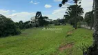 Foto 7 de Fazenda/Sítio à venda, 74315m² em , Campina Grande do Sul