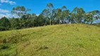 Foto 5 de Fazenda/Sítio com 2 Quartos à venda, 55000m² em Centro, Camboriú