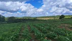 Foto 2 de Fazenda/Sítio com 3 Quartos à venda, 11m² em Cobe de Cima, Vera Cruz