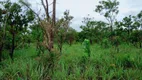 Foto 8 de Fazenda/Sítio com 1 Quarto à venda, 366m² em Zona Rural, Nova Brasilândia