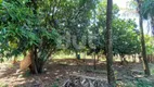 Foto 9 de Fazenda/Sítio com 5 Quartos à venda, 800m² em Chácara Grota Azul, Hortolândia