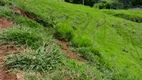 Foto 4 de Fazenda/Sítio à venda, 580000m² em Centro, Delfim Moreira