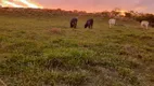 Foto 63 de Fazenda/Sítio com 4 Quartos à venda, 1365000m² em Zona Rural, Alexânia