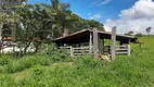 Foto 6 de Fazenda/Sítio com 3 Quartos à venda, 200m² em Zona Rural, Bela Vista de Goiás