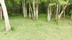 Foto 10 de Fazenda/Sítio com 2 Quartos à venda, 100m² em Bugre, Balsa Nova