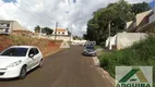 Foto 3 de Lote/Terreno à venda, 10m² em Estrela, Ponta Grossa