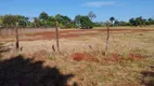 Foto 3 de Lote/Terreno à venda, 7258m² em Dom Pedro, Londrina