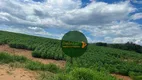 Foto 11 de Fazenda/Sítio à venda, 2420000m² em Zona Rural, Ipameri