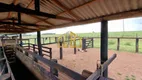 Foto 7 de Fazenda/Sítio com 3 Quartos à venda, 24000m² em Centro, Dom Aquino