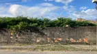 Foto 18 de Lote/Terreno à venda, 2400m² em Extensão do Bosque, Rio das Ostras