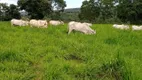 Foto 8 de Fazenda/Sítio com 2 Quartos à venda, 10m² em Area Rural de Caldas Novas, Caldas Novas