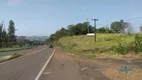 Foto 8 de Fazenda/Sítio com 3 Quartos à venda, 3000m² em Parque Industrial Buena Vista, Londrina