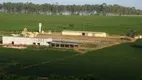 Foto 8 de Fazenda/Sítio com 3 Quartos à venda, 100m² em Zona Rural, Piumhi