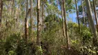 Foto 29 de Fazenda/Sítio à venda, 448000m² em Pedra Branca, Alfredo Wagner